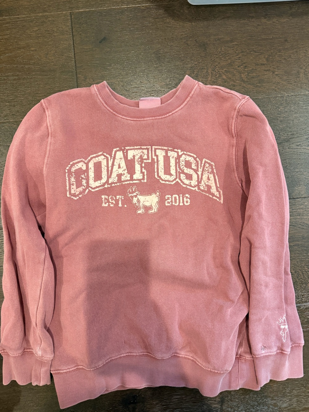 GOAT Pink Kids Sweatshirt
